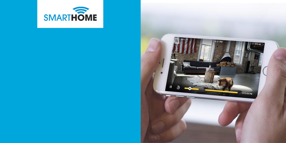 Smart Home Security, person using an iPhone to look at the inside of his home through a security camera, and he has a dog