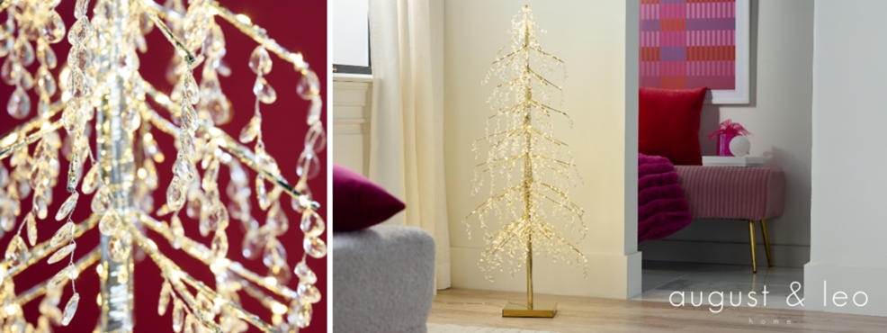 HSN's Today's Special