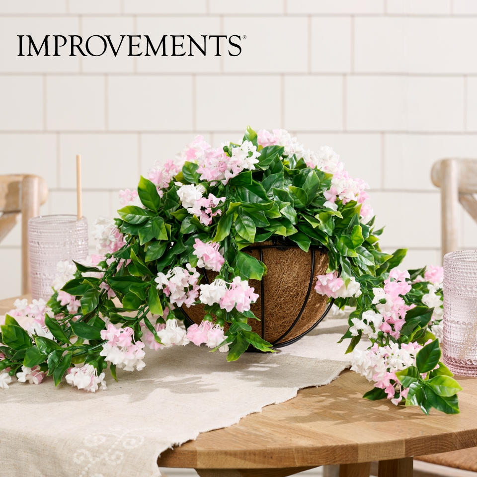 HSN's Today's Special