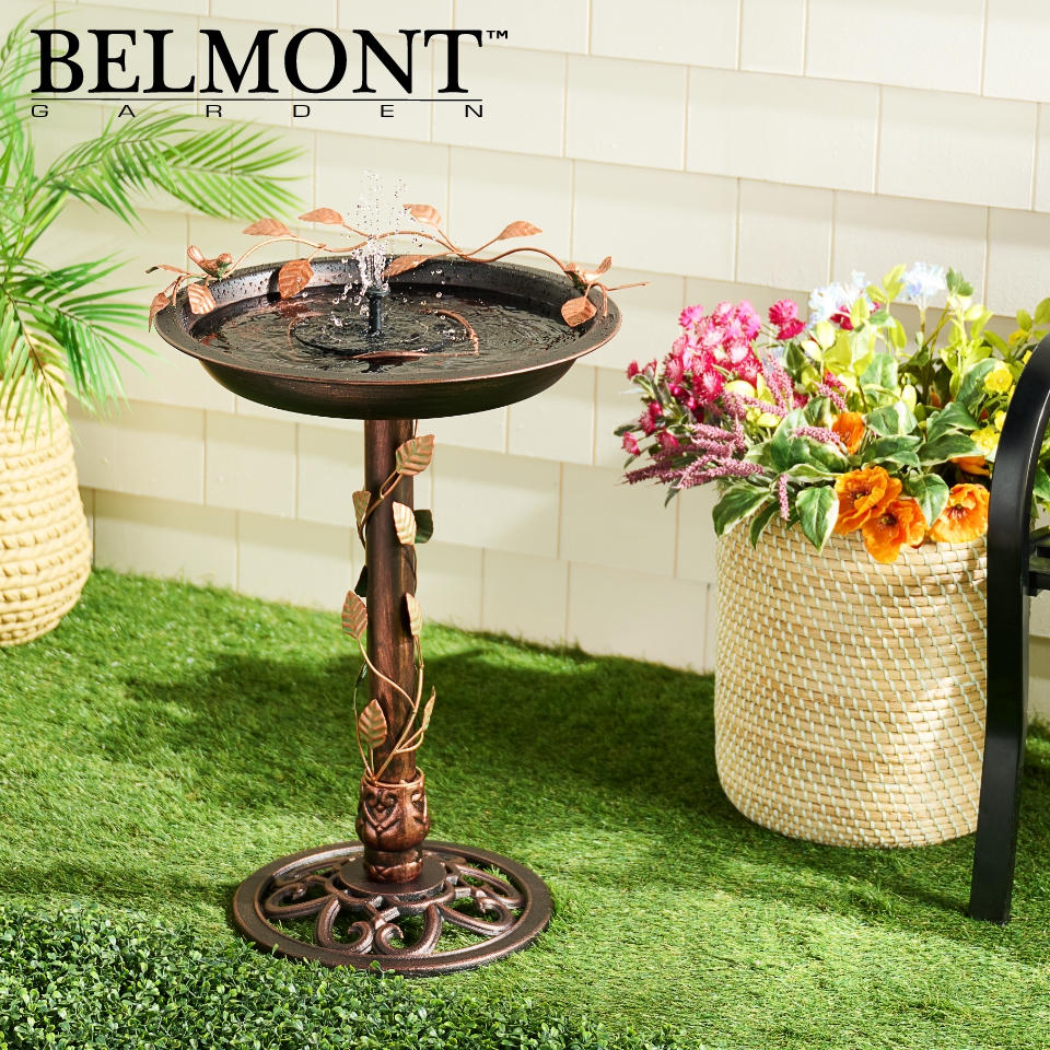 HSN's Today's Special