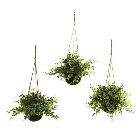 Nearly Natural Eucalyptus, Maiden Hair and Berry Hanging Basket Set of 3