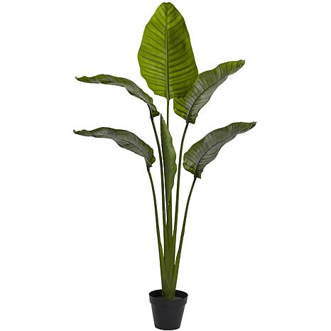 Photos - Garden & Outdoor Decoration Nearly Natural 64 in. Travellers Palm Tree 5445