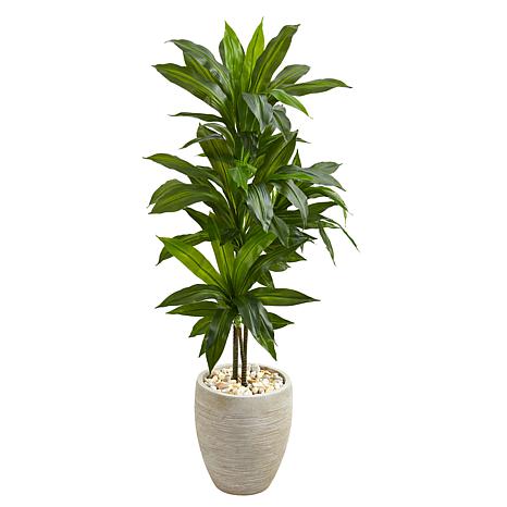 Nearly Natural Dracaena Artificial Plant w Beige Planter- Real Touch