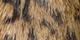 Animal Print/Black