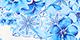 Blue Floral