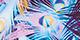 Bright Violet Feathers