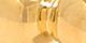 Gold-Plated