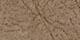 Graceful Taupe