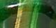 Green Tiger's Eye