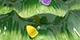 Green/Multi