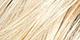 Light Blonde Rooted