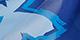 Marine Blue Butterfly/Ultramarine
