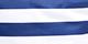 Navy Stripe