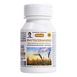 Phytoceramides - 30 Capsules