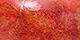 Red Coral