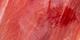 Red Spiny