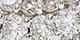 Rhodium Plated