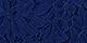 Rich Navy