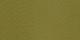 Seaweed