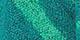 Teal/Parrot Green