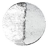 image 7 of 13
