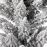 image 3 of 5
