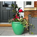 image 6 of 6