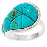 Jay King Sterling Silver Sonoran Blue Turquoise Ring Hsn