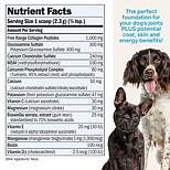 Joint Benefits for Dogs - 500 servings