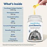 Joint Benefits for Dogs - 60 servings