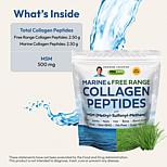 Marine and Free Range Collagen Peptides with MSM - 120 Servings