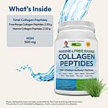 Marine and Free Range Collagen Peptides with MSM - 60 Servings