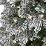 image 4 of 8