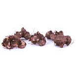 image 3 of 8