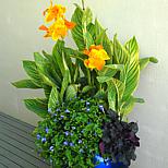 image 4 of 8