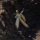 image 5 of 6