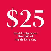 St Jude Children S Research Hospital Donations 10061786 Hsn