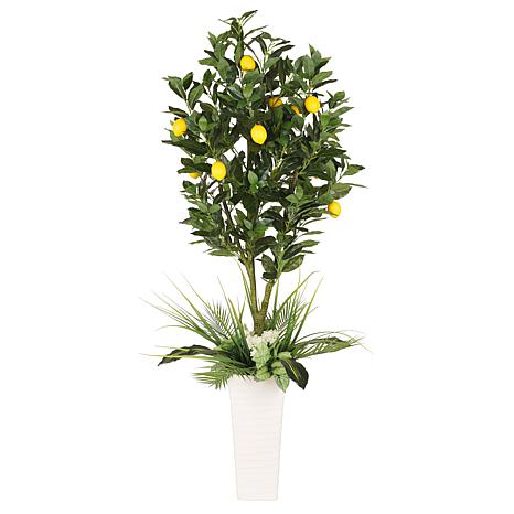 Lemon 52、53、85 SD Lemon Popperz Eighth - The Flowery Shop