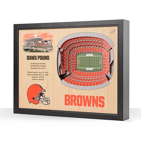 Officially Licensed NFL Cleveland Browns StadiumView 3D Wall Art