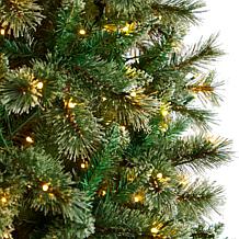 10’ Wisconsin Slim Snow Tip Pine  Christmas Tree