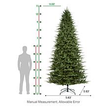 11ft Pre-Lit Green Full Fir Christmas Tree with Lights