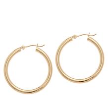 Hsn gold hoop on sale earrings