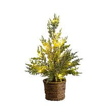 18-in Christmas Tree with 15 LED Lights by Nearly Natural