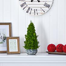 18 in. Cypress Cone Artificial Tree in Decorative Planter