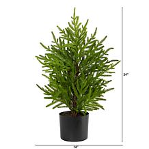 2 ft. Norfolk Island Pine Natural Look Artificial Tree in Decorativ...