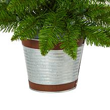 2 ft. Providence Pine Artificial Christmas Tree in Decorative Plant...