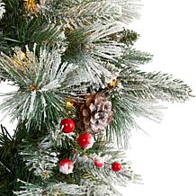 20 in. Flocked Mixed Pine Artificial Christmas Wreath with 50 LED L...