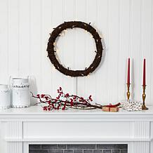 20 in. Vine Wreath with 50 White Warm LED Lights