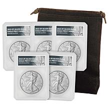2025 Silver Eagle with Eagle Privy Mark in Defender Holder - Set of 5