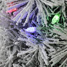 24" Pre-Lit Snow Flocked Greenery Pine Wreath with Lights